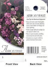 African Violet Care Card African Violet Care African Violets Violet Garden