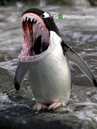 Tento chromozom v důsledku ovlivní celkovou psychickou a fyzickou charakteristiku člověka. Pin By Josef Klokocnik On Humor Funny Animals Animal Mashups Animals