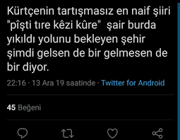 Komik Kurtce Sozler 2020 Ilham Verici Sozler Ilham Verici Alintilar Bff Sozleri