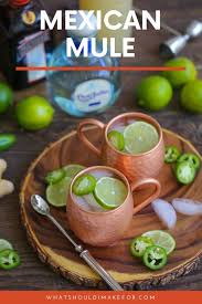 Mexican Mule Recipe Mexican Mule Mexican Mule Recipe Homemade Ginger Beer
