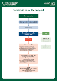 How to perform basic life support. What Are The Basic Life Support Steps