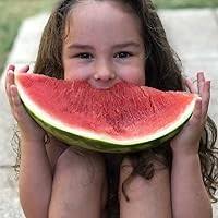 The Dictionary of Difficult Words: With more than 400 perplexing words to  test your wits! by Jane Solomon