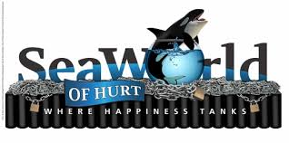 Image result for peta protests