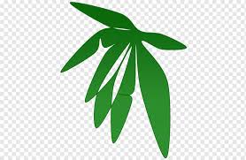 We are specialized in exterminating a variety of termite and insects including bed bugs, cockroaches. Daun Png Images Pngwing