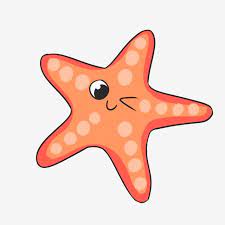 Hand Painted Cartoon Marine Life Starfish Starfish Clipart Marine Life Cute Starfish Png Transparent Clipart Image And Psd File For Free Download Cartoon Starfish Cute Cartoon Drawings Cartoon Dolphin
