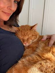 Lost cat in Priceville Mountain area