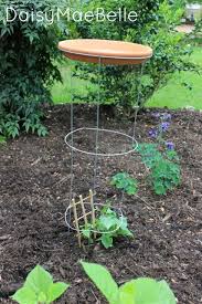 Bird Bath Ideas For Cages Diy Tomato Cage Bird Bath Daisymaebelle Diy Bird Bath Bird Bath Tomato Cages