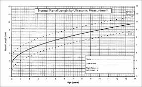 Sonographic Measurements For Kidney Length In Normal Saudi