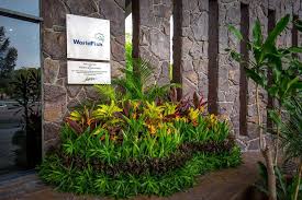 Interning abroad is about much more than work experience. Worldfish On Twitter Looking For An Internship Help Our Nutrition Team In Penang Malaysia Produce A Report On The State Of Fish And Aquaculture In Current Food Systems In Nigeria Details Here