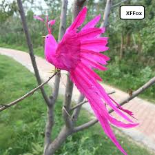 A very rare and mysterious creature from greek mythology that is believed to be immortal. New Real Life Long Tail Phoenix Model Foam Feather Simulation Hot Pink Bird Doll Gift About 40x30cm Xf1131 Figurines Miniatures Aliexpress