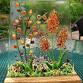 Summer-ween Fused Glass Sun Catcher
