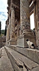 Ephesus Turkey Noir Et Blanc Istanbul Turquie