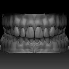 Realistic Human Mouth Teeth Tongue Zbrush Sculpt 3d Model 49 Obj Ztl Free3d
