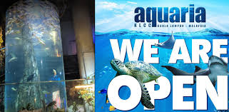 Skip the queue at aquaria klcc! Tiket Masuk Aquaria Klcc Rm35 Untuk 2 Dewasa Dan 1 Kanak Kanak Rugi Tak Rebut Peluang