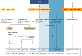 Liver cancer is a very agressive type of an oncological disease with fast spread metastasis. The Importance Of A Multidisciplinary Approach To Hepatocellular Carci Jmdh