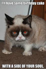 56 Best Grumpy Cat Birthday Ideas Grumpy Cat Grumpy Cat Birthday Grumpy