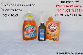 How To Easily Remove Old Pee Stain And Smell From A Mattress Pee Stains Cleaning Hacks Urine Stains