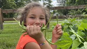Summer vegetable stand and garden at Boys and Girls Club Franklin Simpson