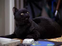 Appreciation post: salem saberhagen : r/popculturechat