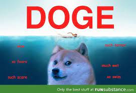 Doge Funsubstance Doge Meme Funny Pictures Doge