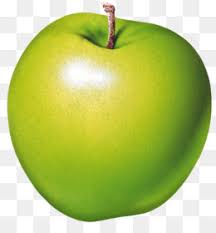 Download gambar apel apel hijau di atas pohon gambarcoid via gambar.co.id. Buah Buah Unduh Gratis Buah Apel Makanan Buah Buah Vektor Sketsa Indah Apel Hijau Gambar Png