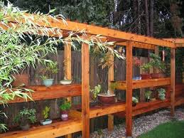 Pin By Robert Wiha On Bonsaii Bonsai Tree Bonsai Plants Garden Bonsai Tree