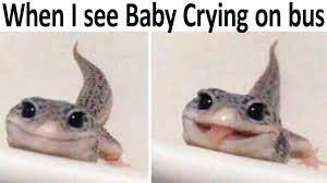 Wholesome memes to cleanse your mental palate. Best Wholesome Memes V42 Youtube