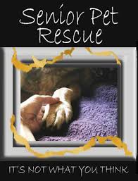 Like us on facebook or follow us on twitter for the latest news. One Dog At A Time