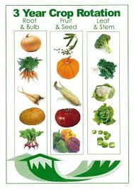 Crop Rotation Chart Edible Garden Lawn Garden Vegetable