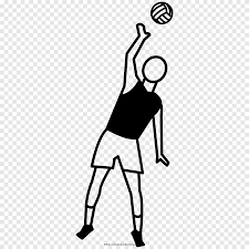 Ver más ideas sobre dibujo de voleibol, voleibol, fondo de pantalla de voleibol. Drawing Volleyball Coloring Book Volleyball White Child Png Pngegg