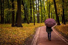 Affected by the pensions changes? What Is Pension Release Or Pension Unlocking