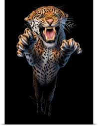 صور خلفيات نمر Angry Animals Wild Animal Wallpaper Animals
