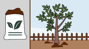 We did not find results for: How To Grow An Apple Tree From A Seed With Pictures Wikihow
