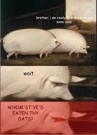 Meme Rarely Used On Reddit Shall I Buy Memeeconomy