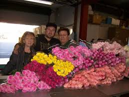 Maybe you would like to learn more about one of these? Wholesale Bagala Bros Australia