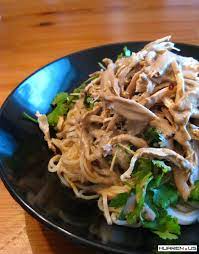 参加推荐拿手好菜活动 夏日最爱之鸡丝凉面 cooking 美食乐园 chinese in north america 北美华人e网 北美华人e网 海外华人网上家园