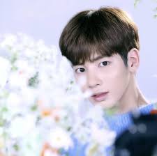 Setelah mengetahui cukup banyak hal tentangnya, sekarang kamu tahu kan alasan mengapa rap monster menjadi seorang. Loveyourself Loveyourselfinseoulfilm Taejin Vjin Bts Btsarmy V Kimtaehyung Rm Kimnamjoon Suga Minyoongi Jhope Jungh The Dream Rap 5 De Fevereiro