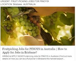Find your ideal job at seek with 192 malaysian jobs found in all australia. Fruit Picking Jobs For Filipinos In Australia Philippines Information