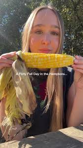 Hanks Pumpkin Farm Ny