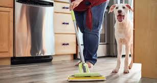 How long does it take to housebreak a puppy. How To Potty Train A Dog In 7 Days Bechewy