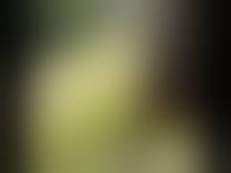 Quando a égua estivermijando amarelo pode ser sinalde doenças from buceta  egua Watch Video - MyPornVid.fun