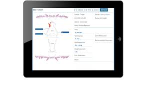 Vet Dental Charts