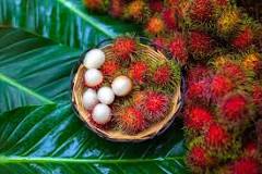 Who should not eat rambutan fruit?