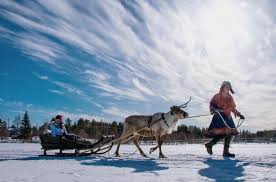 Der finnland winterurlaub mit kindern setzt auch auf tierische begegnungen: Winterreise Nach Finnisch Lappland Winterabenteuer In Yllas Und Levi Black Dots White Spots
