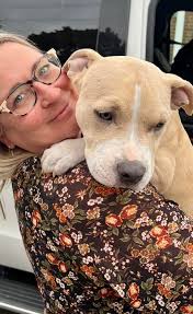 Lost Cat Jax in Kanata, Ottawa