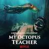 A filmmaker forges an unusual friendship with an octopus living in a south african kelp forest, learning as the animal shares the mysteries of her. Https Encrypted Tbn0 Gstatic Com Images Q Tbn And9gcsucu0df15qvmgdlkyc7oc9qelgh6xr7sgre Pazvl0wozgukl9 Usqp Cau