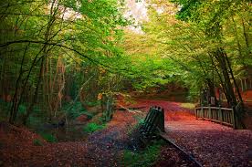 polonezkoy istanbul istanbul outdoor istanbul turkey