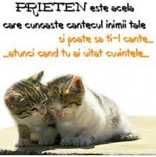 Terry si bridge au fost coechipieri la chelsea londra, inainte ca fundasul de banda dreapta sa se transfere la. Prietenul La Nevoie Se Cunoaste Romania In Direct