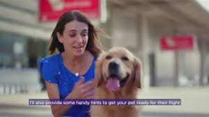 Maybe you would like to learn more about one of these? Travelling With Pets Virgin Australia