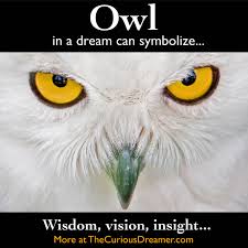 Pin On Meaning Of Dreams